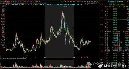 如何采购股票和基金