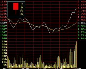 如何看公司发行股票