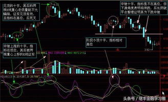 如何看k线图选股票