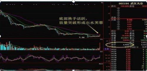 如何复制股票中部分股票