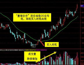 股票如何保持上涨停牌
