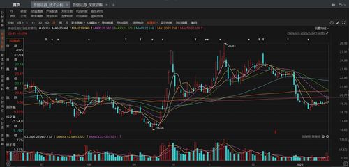 首创证券怎么登陆通达信