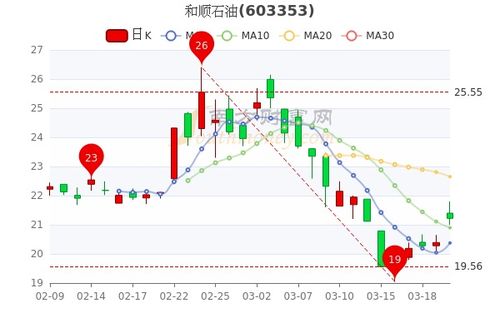 如何看到石油股票价格