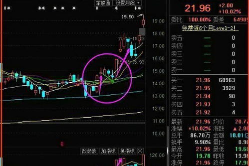 如何判断激进型股票