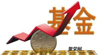 证券基金怎么挂 证券基金怎么挂