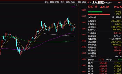 李炳增如何选龙头股股票 李炳增如何选龙头股股票