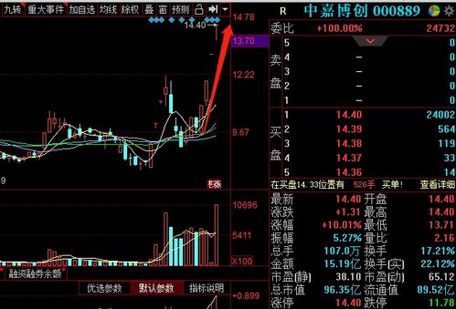 如何追概念龙头股票