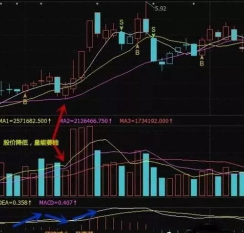 股票如何理性选股技巧