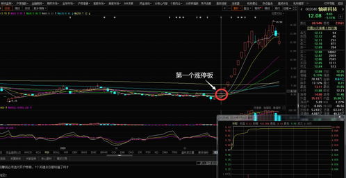 股票如何理性选股技巧