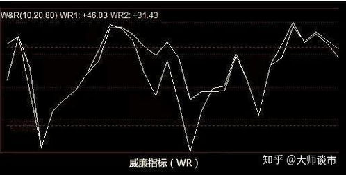 股票如何看wr