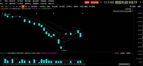 股票如何挑选基金 股票如何挑选基金