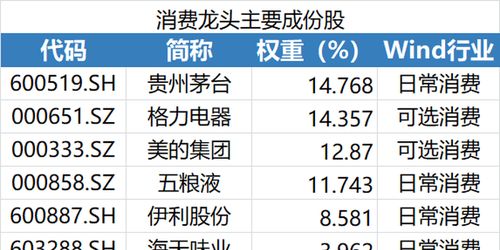 消费证券怎么投放基金