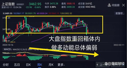如何看好a股票