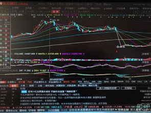 创业版如何开通股票