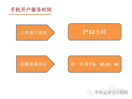 平安证券公式怎么用