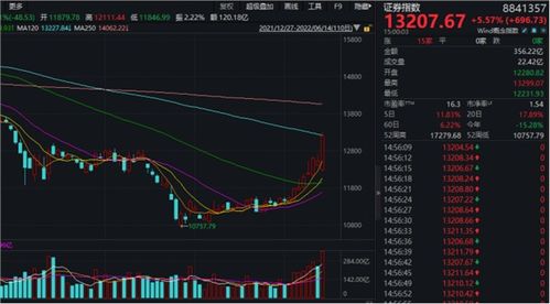 光大证券怎么查询涨停