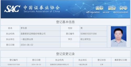 君安证券怎么查账