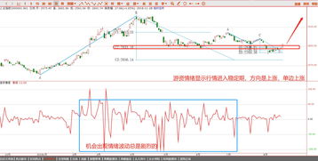it研发如何分股票和股票 it研发如何分股票和股票