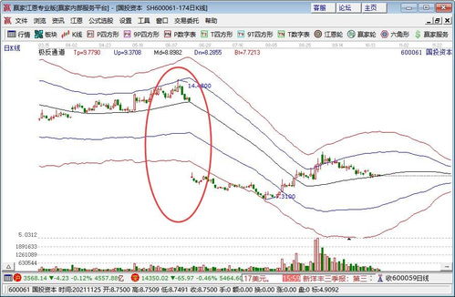 现金股票如何分配 现金股票如何分配