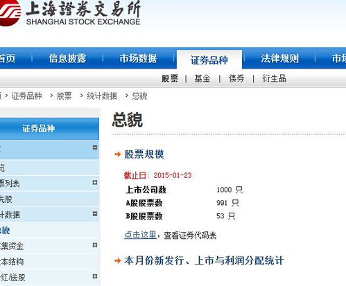 上海证券交易所怎么查询