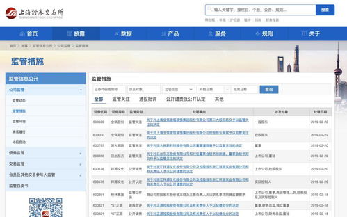 上海证券交易所怎么查询