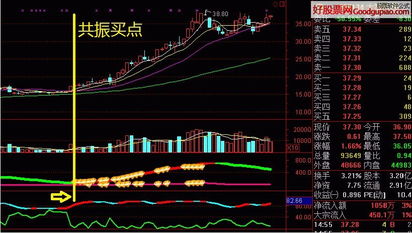 股票软件如何输入公式
