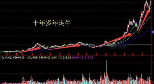 如何看牛市中的股票涨跌 如何看牛市中的股票涨跌