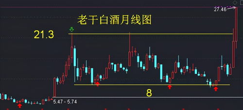 老白干 股票如何