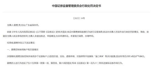 天价证券怎么罚款