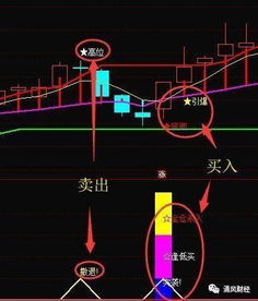 如何看到股票真假