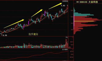 股票如何选择主力买入 股票如何选择主力买入