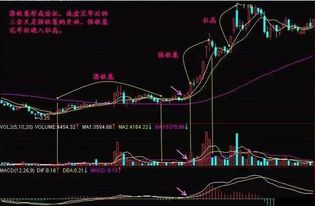 股票如何看庄家资金