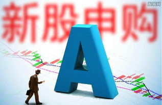 长城证券怎么申购新股