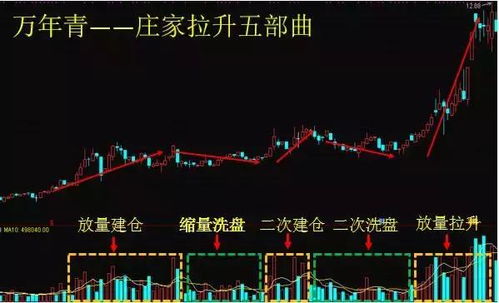 尾盘股票如何建仓 尾盘股票如何建仓