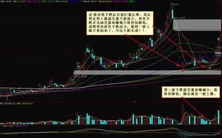 如何看股票价格是否高开