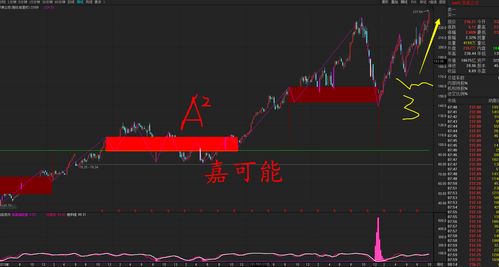 如何查自己的股票市值