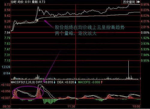 股票每个月10个点如何