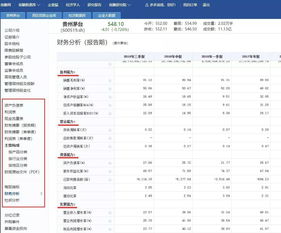 如何分析股票财务表格