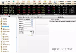 招商证券怎么看转入金额 招商证券怎么看转入金额