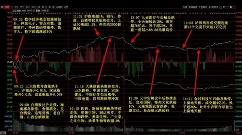 如何找防御股票