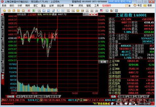 证券股票怎么操作 证券股票怎么操作