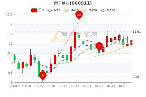 南宁糖业股票如何