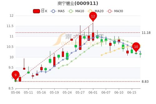 南宁糖业股票如何