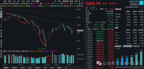 如何认识股票基本面