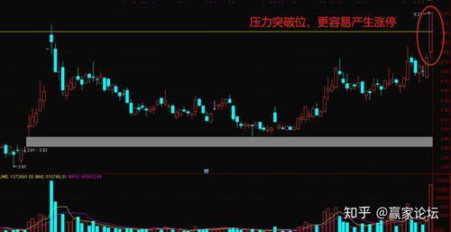 股票如何毁掉