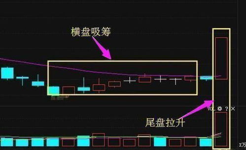 股票如何选择主力 股票如何选择主力