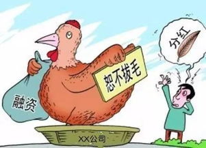 证券公司股东分红怎么办 证券公司股东分红怎么办