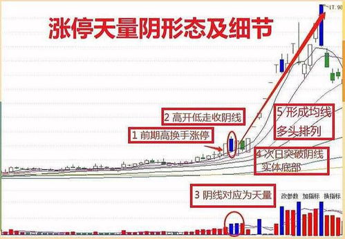 如何靠股票养家