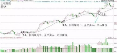 如何靠股票养家
