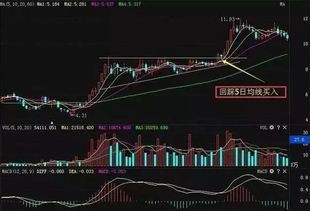 如何突破不回调股票